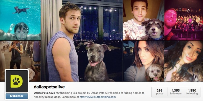 Dallas Pets Alive - Muttbombing Instagram - Fevrier 2014