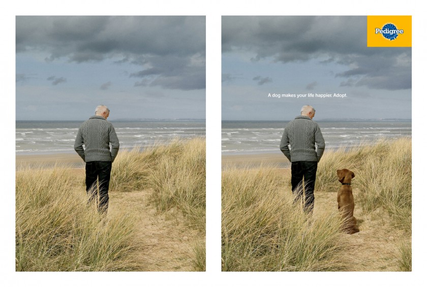 Pedigree - Campagne de publicite - Adoption de chien - 2013
