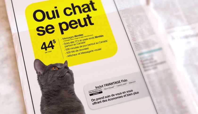 Branding Fido - Oui chat se peut