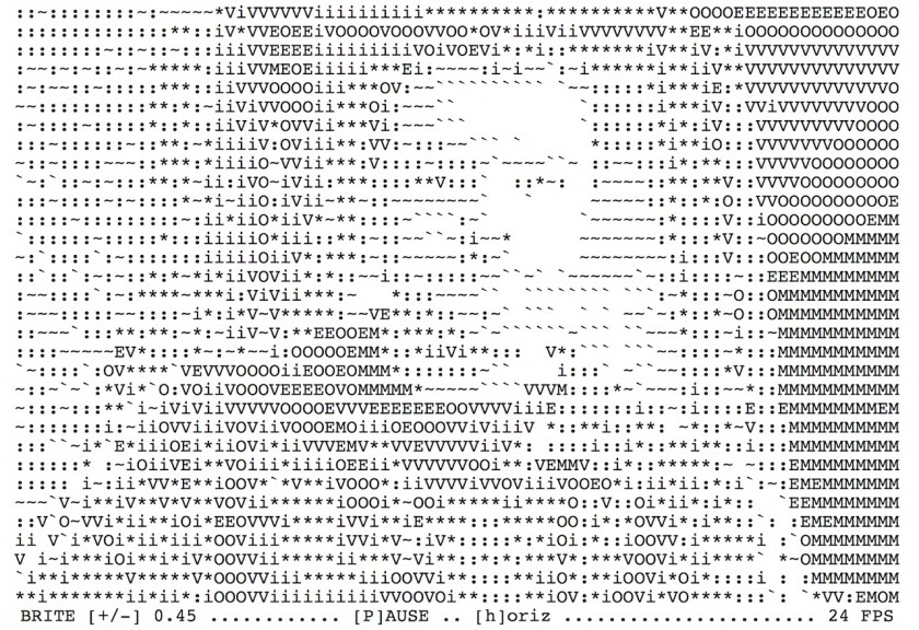 Portrait en ASCII - Webcam