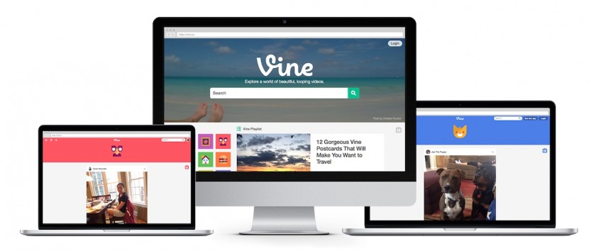 Vine Website - Twitter 1