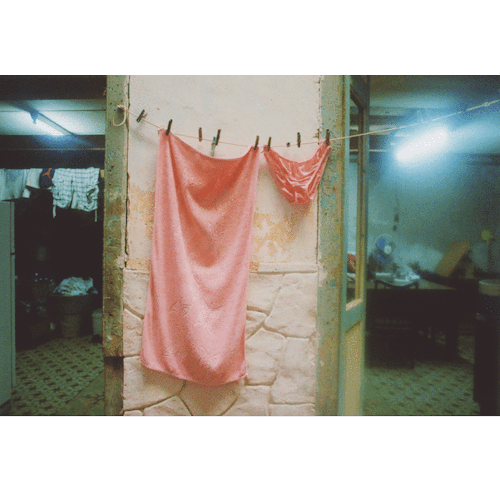 Laurence Philomene - Flickr 20under20 - Curator Choice Award