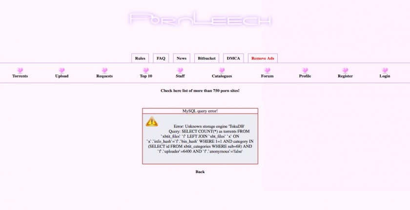 PornLeech MySQL