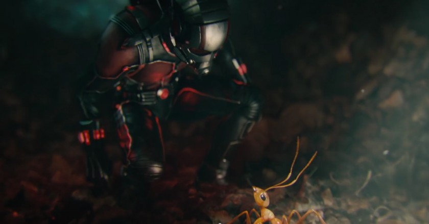 Ant-Man fourmi