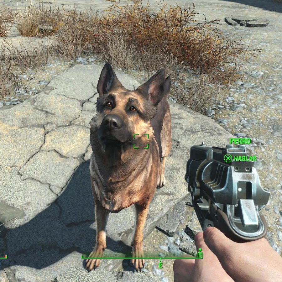 Fallout 4 пес что то нашел фото 109