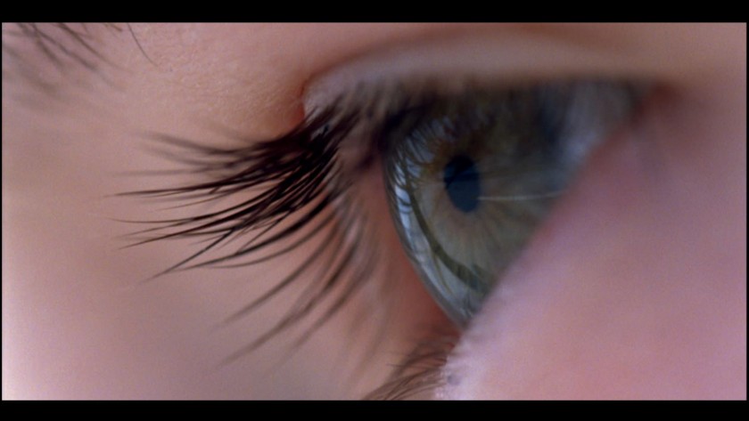 voyage-of-time-still-3-terrence-malick