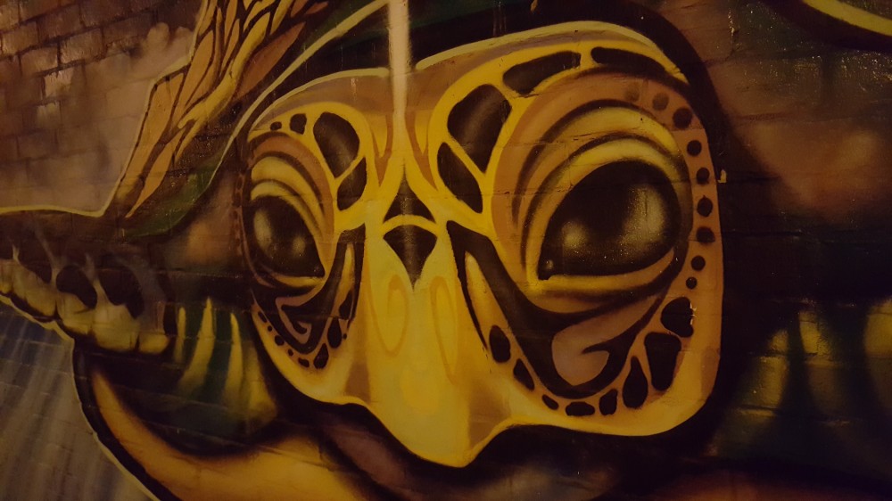 Samsung Galaxy S6 edge +