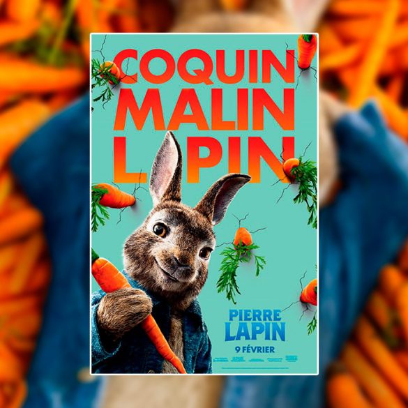 Pierre Lapin