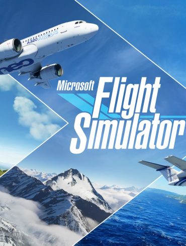 Microsoft Flight Simulator