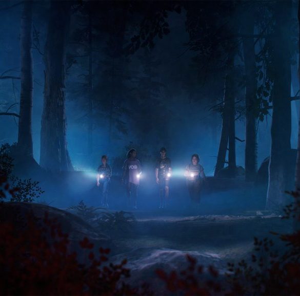 Lost Record Bloom & Rage