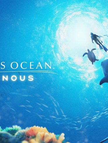 Endless Ocean Luminous